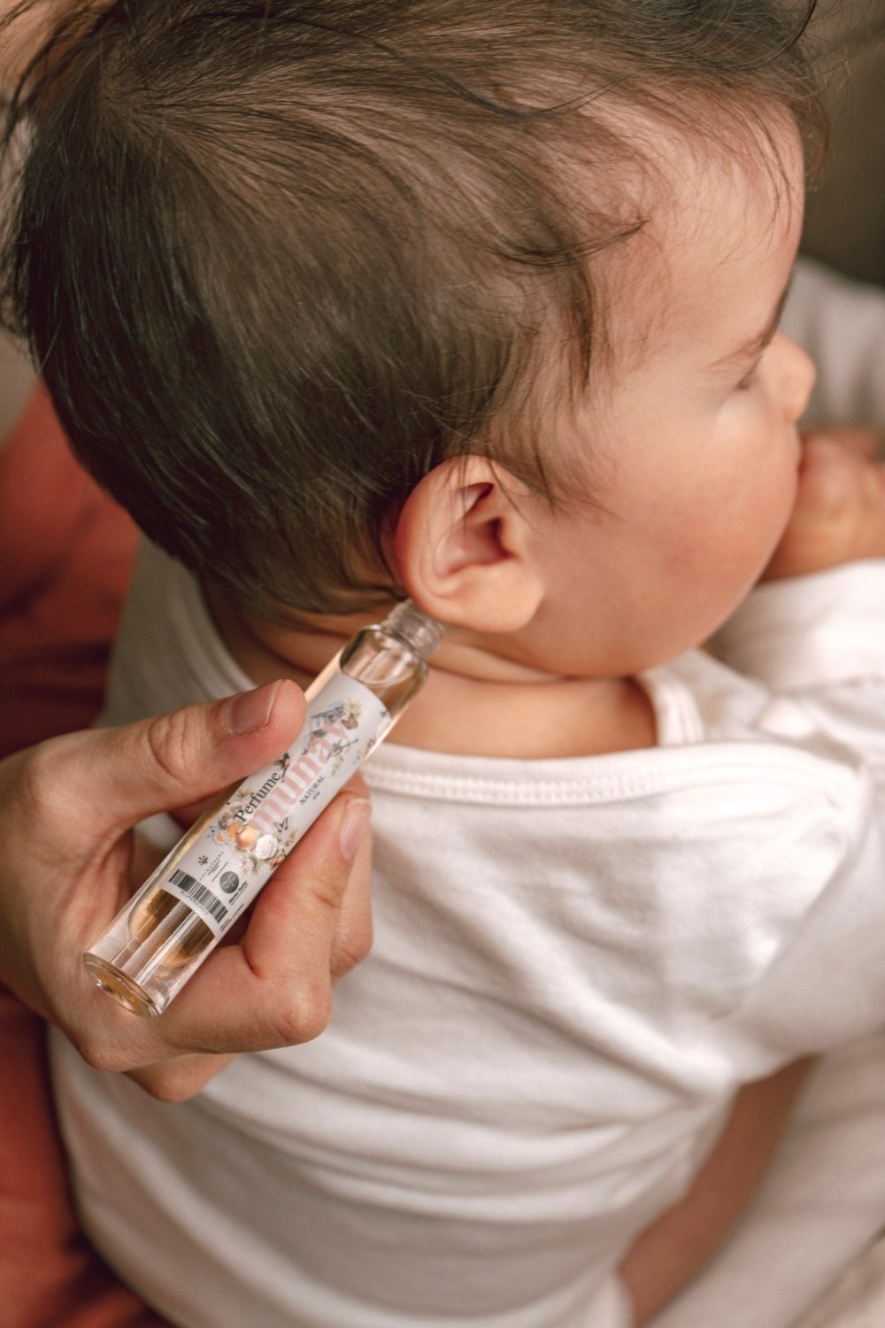 Primera imagen de galería